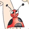 Spot